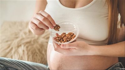 فوائد عين الجمل للحامل.. هل هي مجرد تسالي وكم حبة تتناولينها يوميًا؟