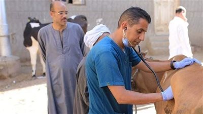 بيطري المنيا ينظم قافلة طبية شاملة مجانية بمركز العدوة اليوم
