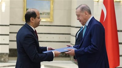 سفير مصر في تركيا يقدم أوراق اعتماده لـ أردوغان