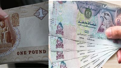 سعر الدرهم الإماراتي مقابل الجنيه المصري اليوم الأربعاء 25 أكتوبر 2023