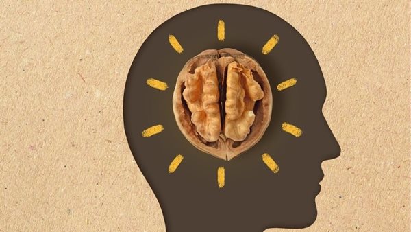  فوائد عين الجمل