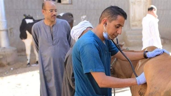 الطب البيطري بالمنيا