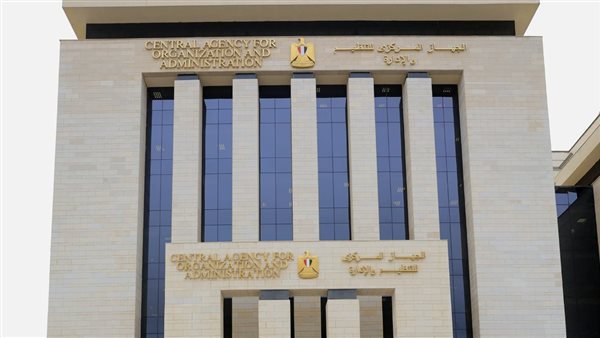 الجهاز المركزي للتنظيم