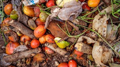 في اليوم العالمي للتوعية بالفاقد والمهدر.. كيف نقلل من هدر الطعام؟