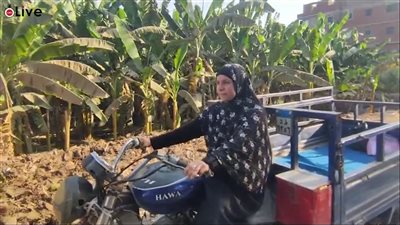 أرملة تعمل على تروسيكل بالمنوفية: بشتغل طول النهار والليل عشان أصرف على عيالي الخمسة | بث مباشر