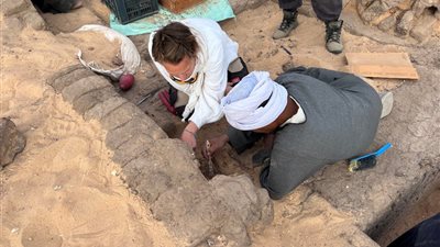 السياحة تعلن الكشف عن المئات من جِرار النبيذ بمنطقة أم القعاب بأبيدوس في سوهاج| صور