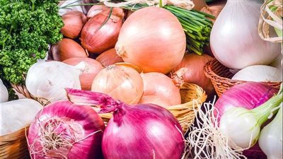 رسميًا.. الجمارك تبدأ تنفيذ قرار وقف تصدير البصل لمدة 3 أشهر من اليوم | بث مباشر