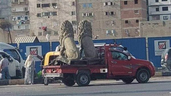 تداول صور لأسدين