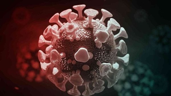 الفيروس المخلوي -