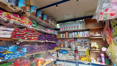 توزيع مساعدات مالية لتنمية المشروعات الصغيرة بكفر الشيخ