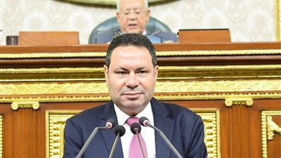 هشام الحصري زعيما للأغلبية في مجلس النواب