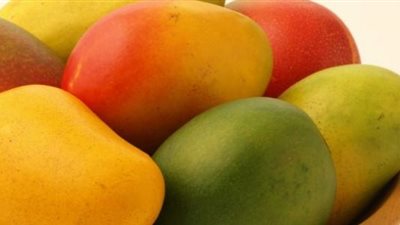 الكيلو بـ 100 جنيه.. موعد ظهور المانجو في الأسواق 2024 