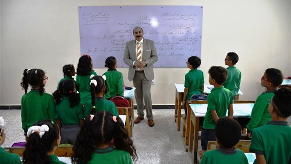 محافظ أسوان