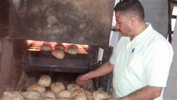 حملات تفتيشية بالمنيا