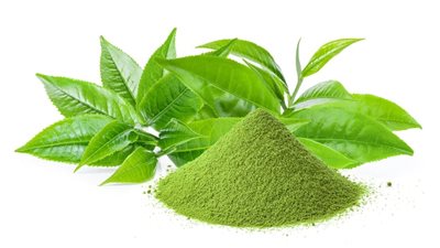 فوائد الماتشا للبطن.. ينظف القولون ويعالج الإمساك ويقضي على الكرش لهذا السبب