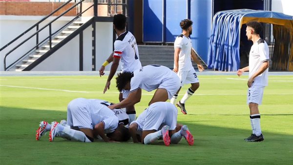 دوري المحترفين ملخص