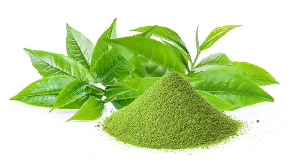 فوائد الماتشا للبطن