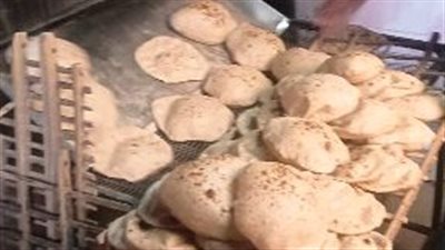 تحرير 16 محضرا لمخابز مخالفة بالشرقية 