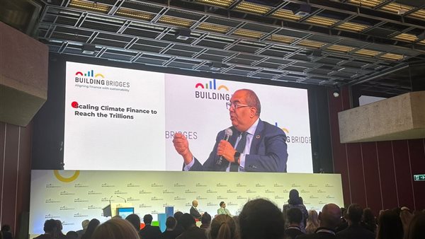 محمود محي الدين 