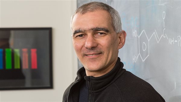 منجي باوندي