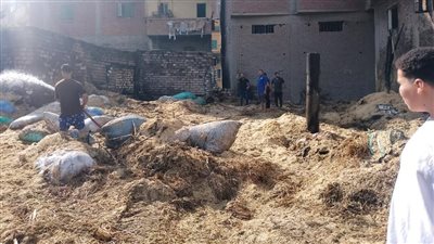 حريق يلتهم مزرعة مواشٍ بالغربية ونفوق 3 رؤوس ماشية 