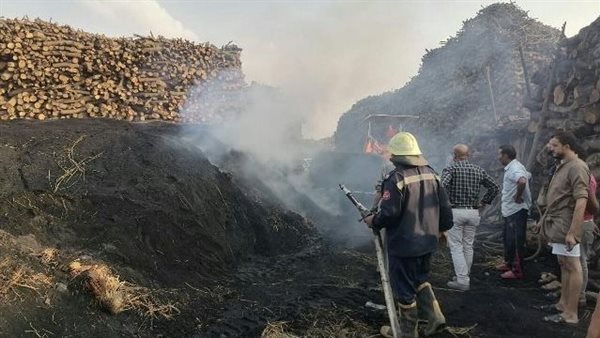 حرق قش الأرز بالشرقية