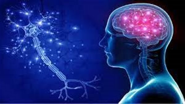 مرض البريون - تعبيرية