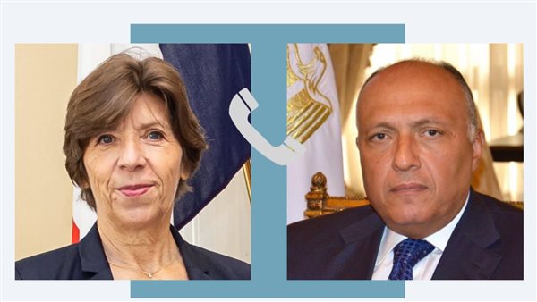 وزير الخارجية يناقش