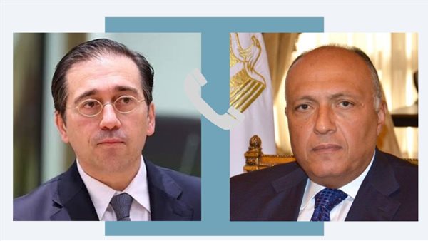 شكري ووزير خارجية