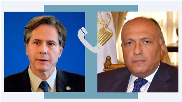 سامح شكري مع أنتوني