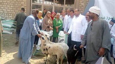 تضامن المنيا تسلم 342 رأس أغنام لـ 114 أسرة مستفيدة في مطاي