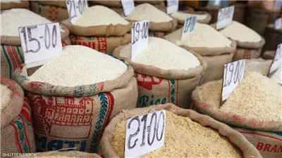 شعبة المواد الغذائية: 3000 جنيه تراجعا في أسعار طن الأرز منذ تطبيق مبادرة تخفيض السلع 
