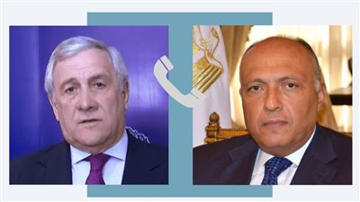 وزير الخارجية لنظيره الإيطالي: مصر حذرت من التصعيد الحالي في فلسطين نتيجة اعتداءات إسرائيل