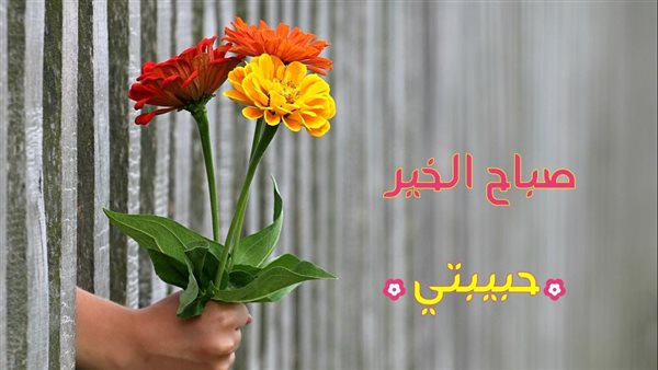  بوستات صباح الخير