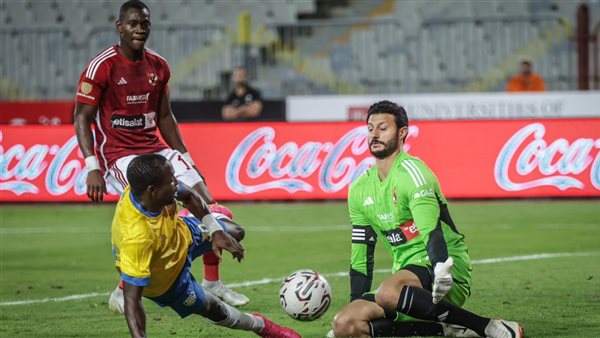 محمد الشناوي 