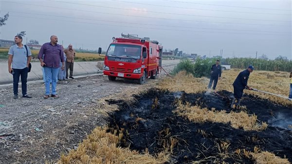 حرق قش الأرز بالبحيرة