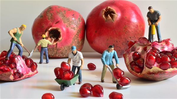 فوائد الرمان