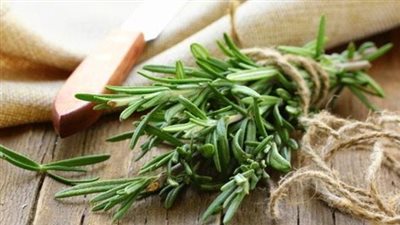 فوائد إكليل الجبل للشعر وطريقة استعماله بالتفصيل.. يظهر مفعوله في هذا التوقيت