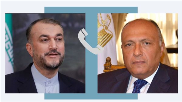 شكري وعبداللهيان