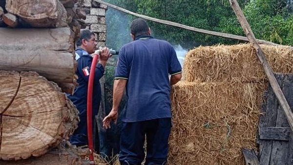 حملات لإزالة مقامير