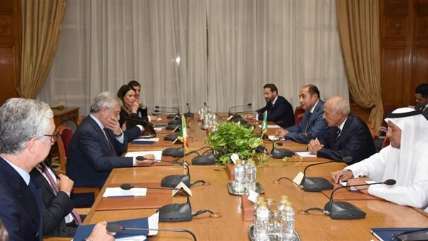 أبو الغيط يستقبل