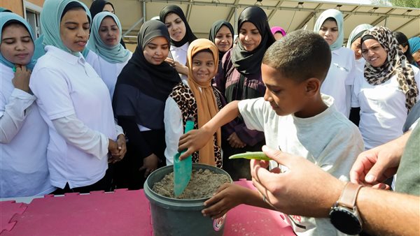البرنامج التدريبي