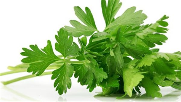 فوائد البقدونس