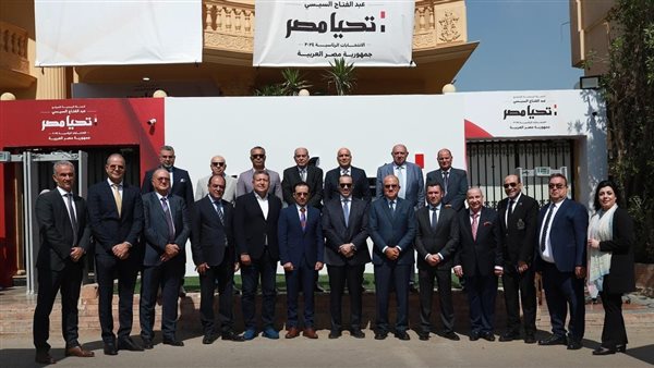 حملة السيسي 