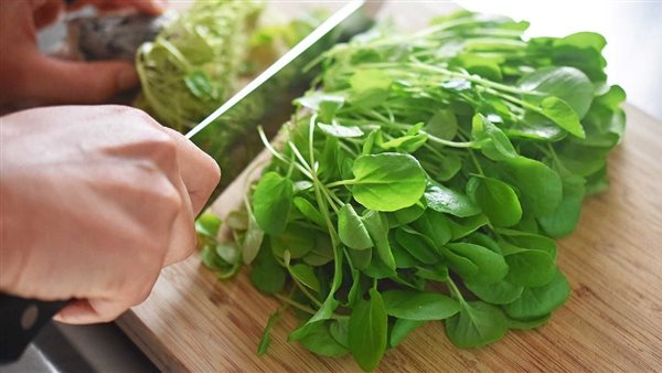 فوائد الجرجير.. 9