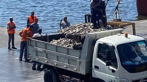 سيارة نهضة مصر للنظافة