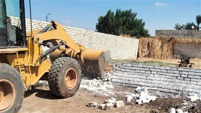 خلال أسبوع.. إزالة 832 حالة تعدٍ على الأراضي الزراعية في بني سويف