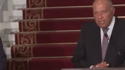 وزير الخارجية لنظيره التركي: هناك رؤى مشتركة حول أهمية تجاوز المخاطر الإنسانية في غزة