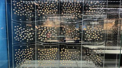 المتحف اليوناني الروماني يعرض 4 آلاف عملة أثرية ذهبية وفضية | صور 