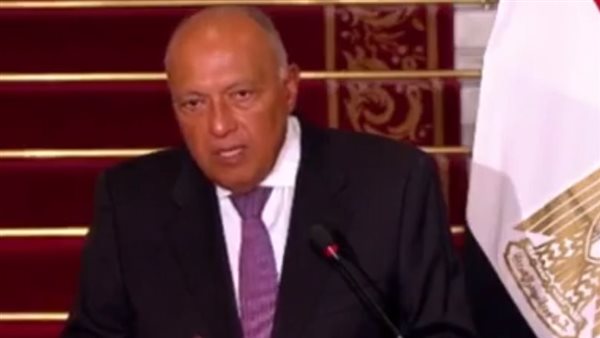 سامح شكري وزير الخارجية